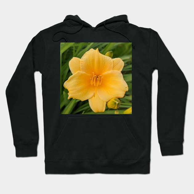 Yellow Flower with Buds Photographic Image Hoodie by AustaArt